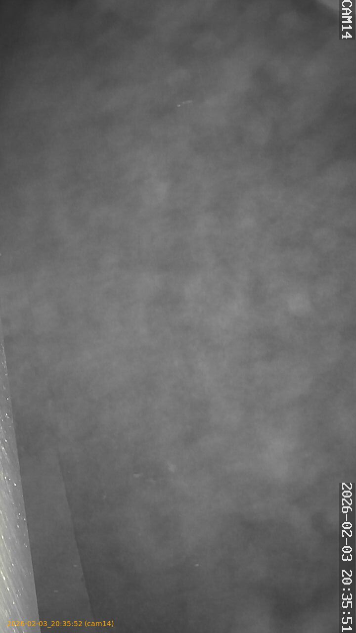 thumbnail_20260203203552