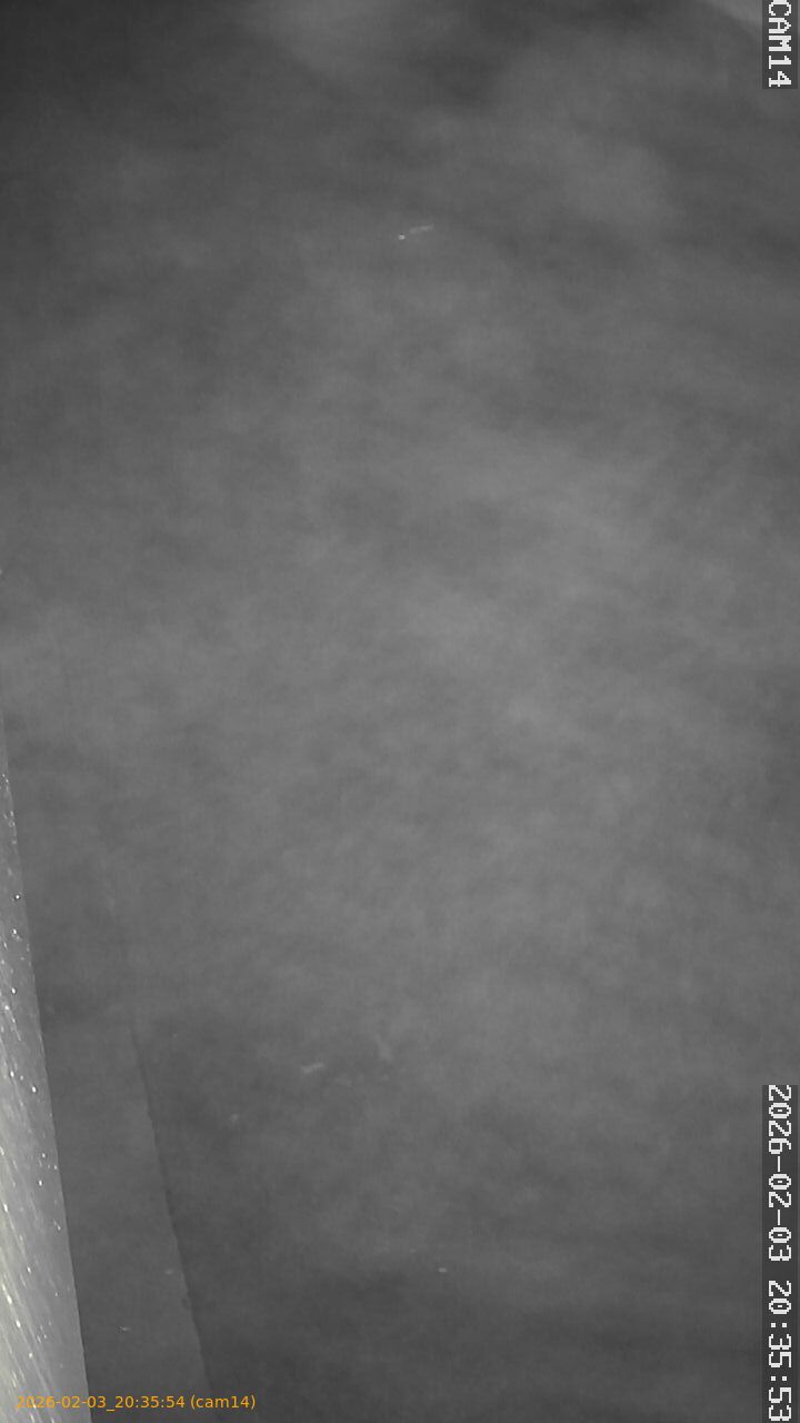 thumbnail_20260203203554