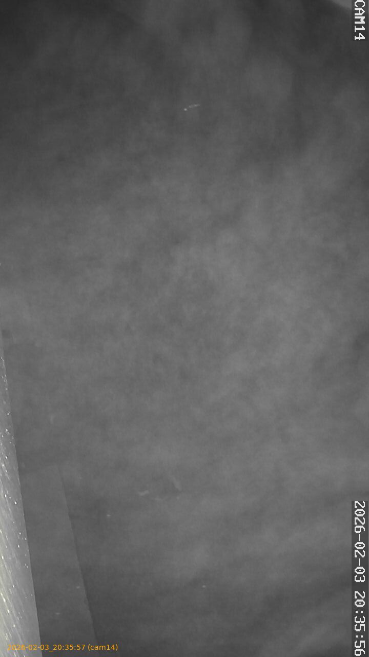 thumbnail_20260203203557