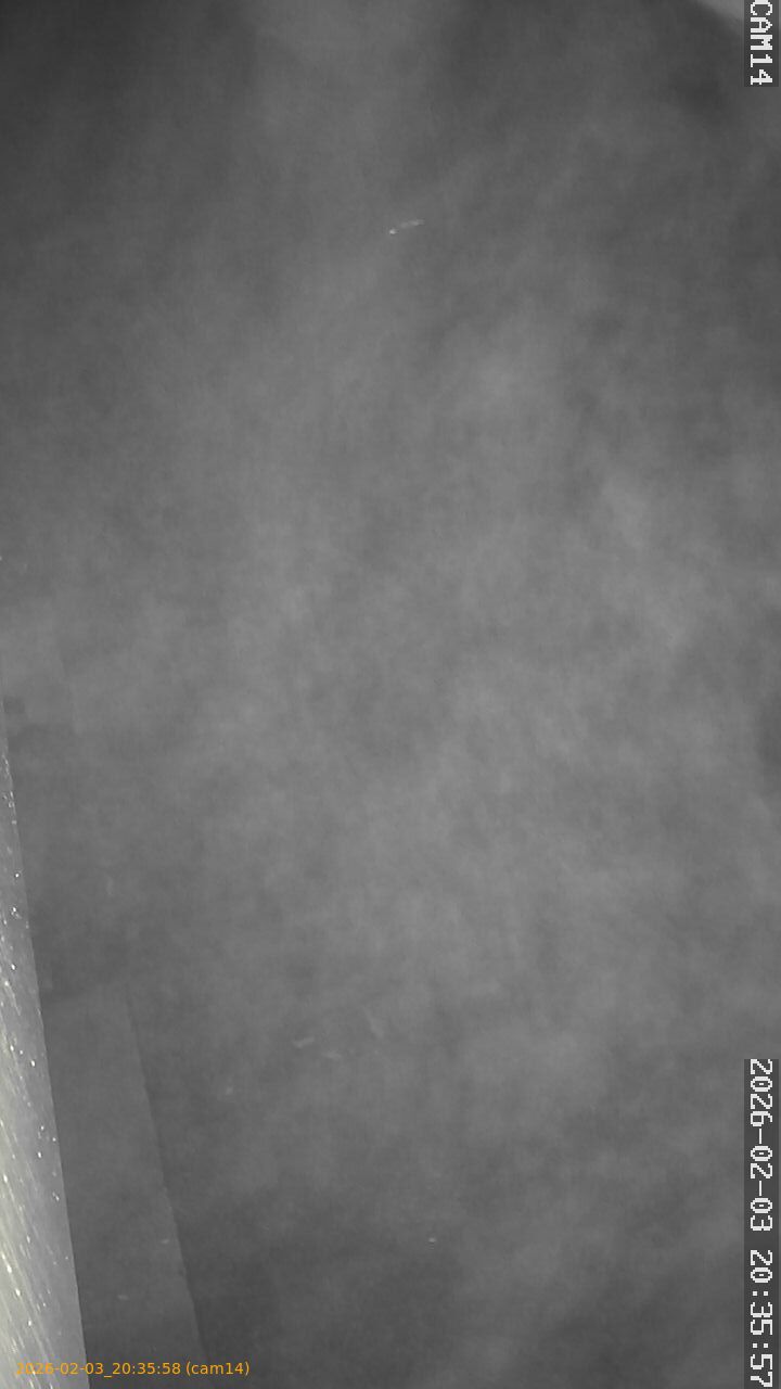 thumbnail_20260203203558