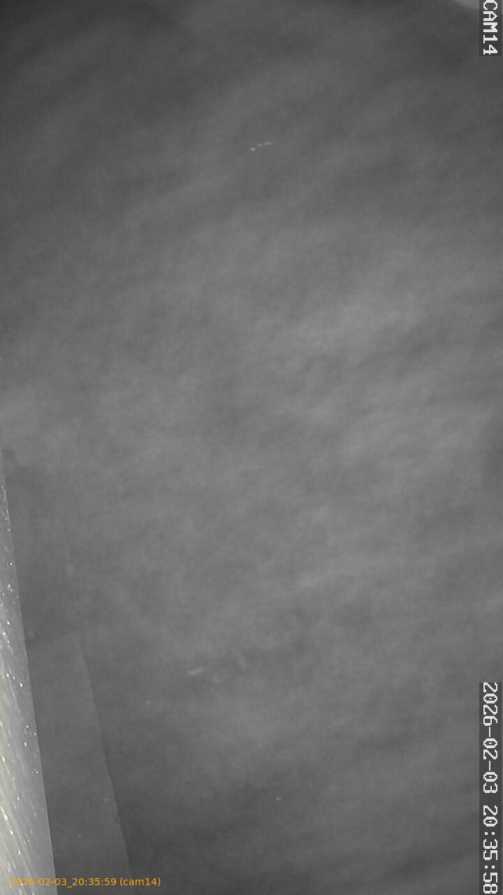 thumbnail_20260203203559