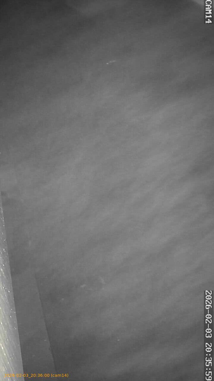 thumbnail_20260203203600