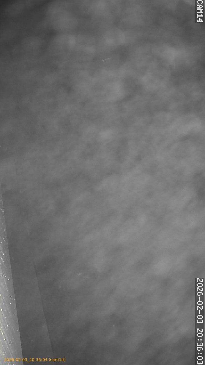 thumbnail_20260203203604