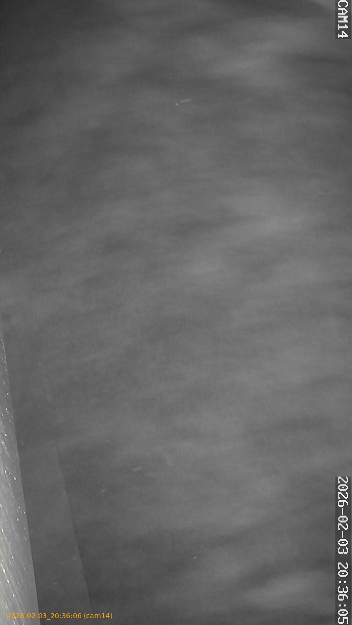 thumbnail_20260203203606