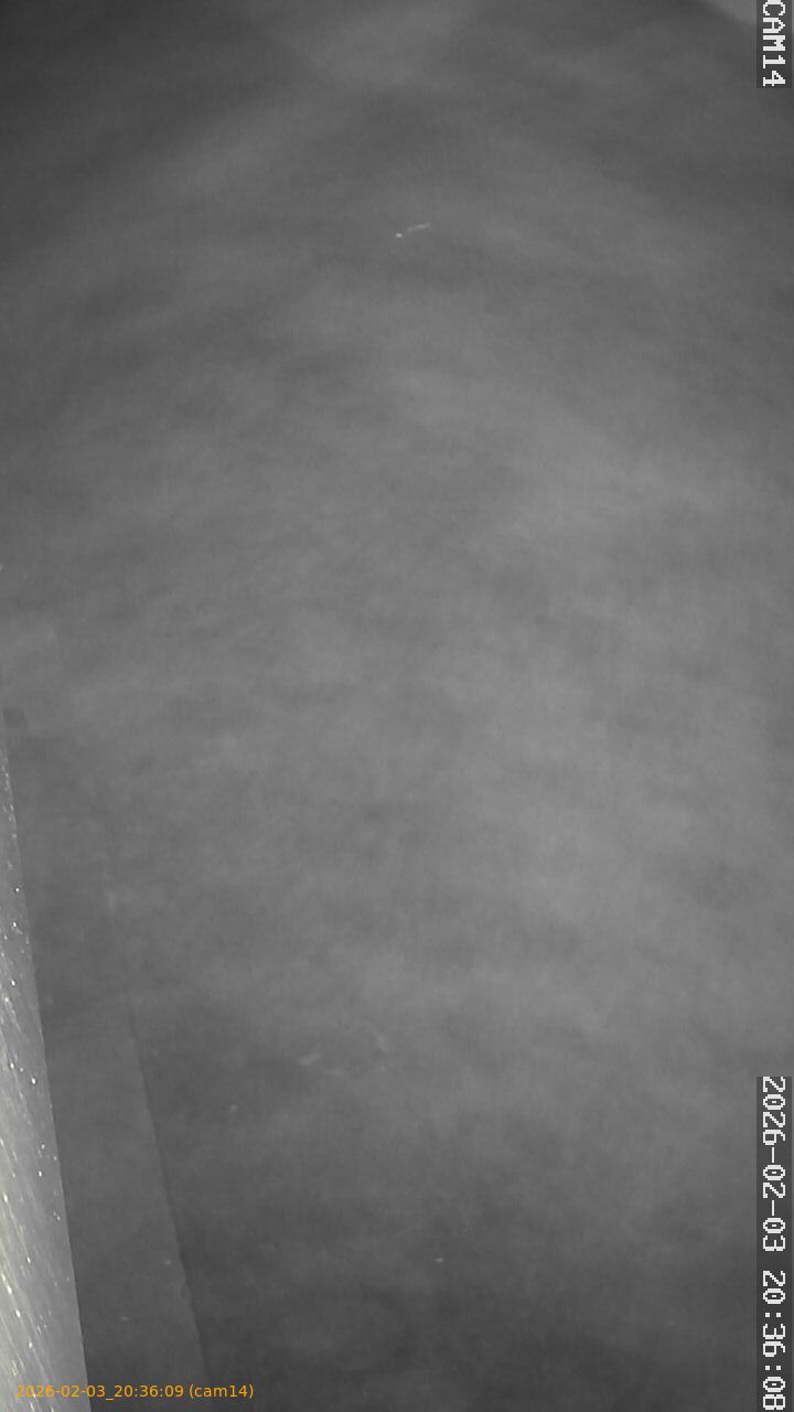 thumbnail_20260203203609