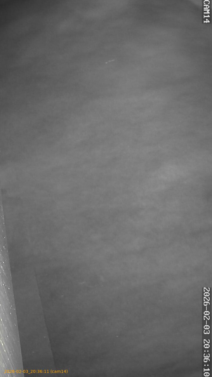 thumbnail_20260203203611