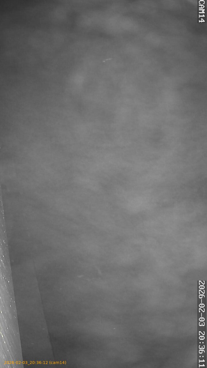 thumbnail_20260203203612