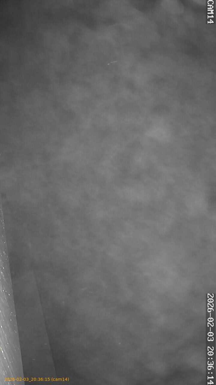 thumbnail_20260203203615