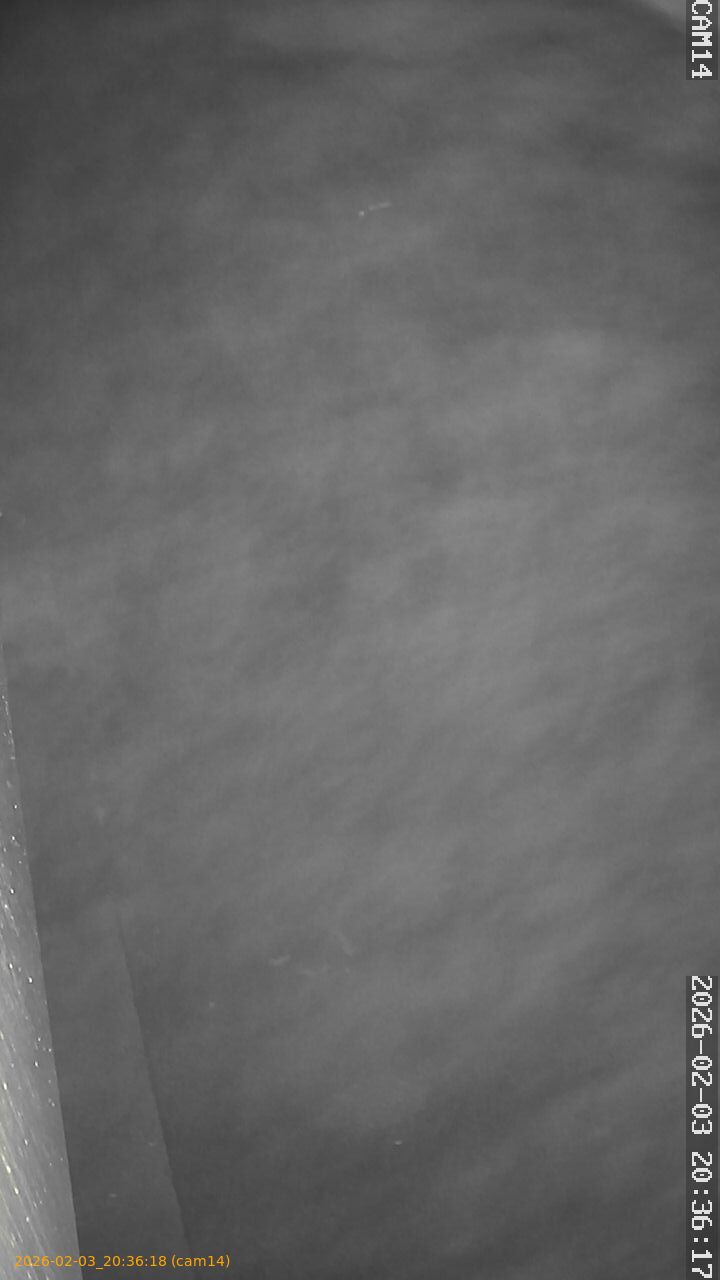 thumbnail_20260203203618