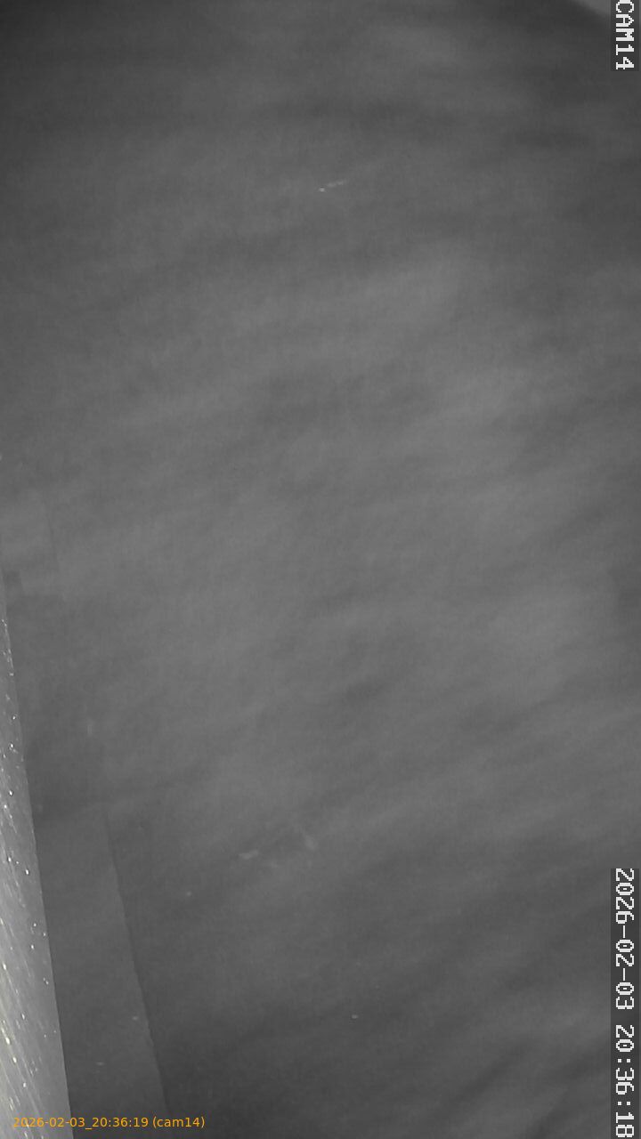 thumbnail_20260203203619