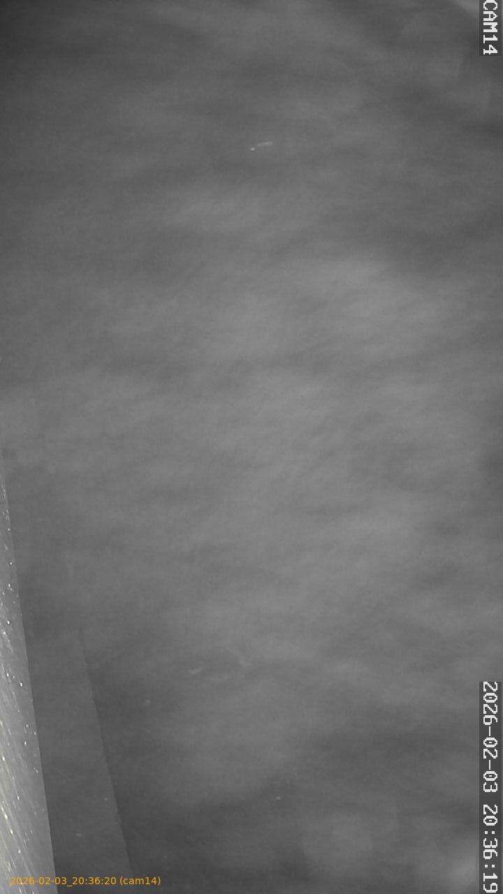 thumbnail_20260203203620