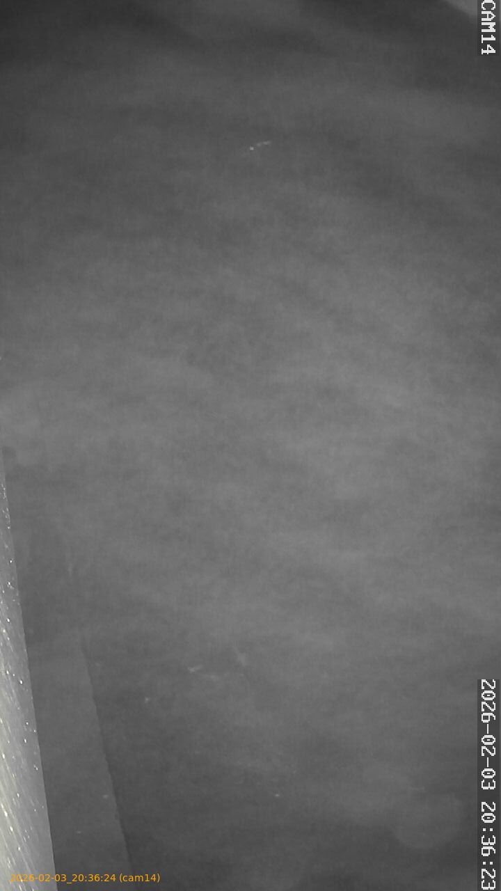 thumbnail_20260203203624