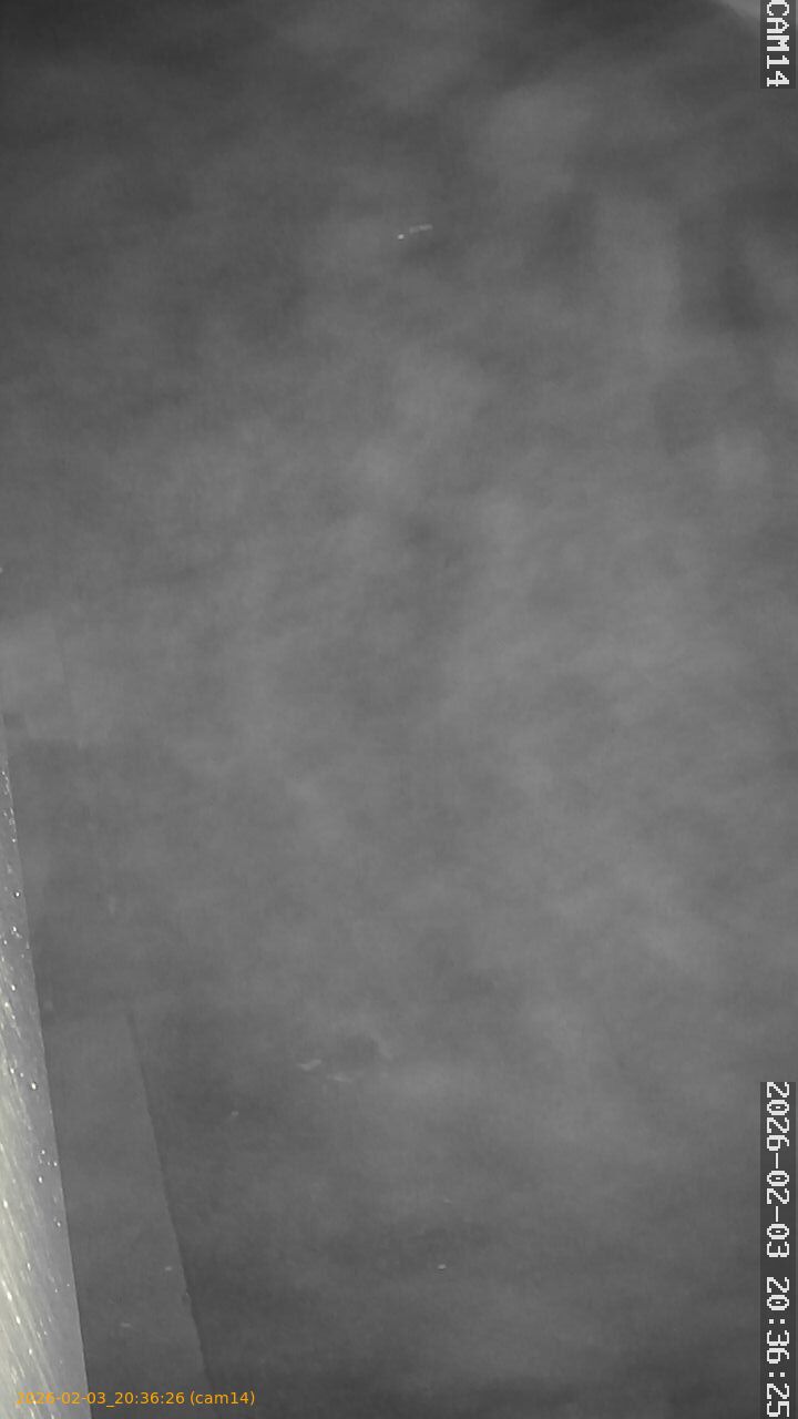 thumbnail_20260203203626