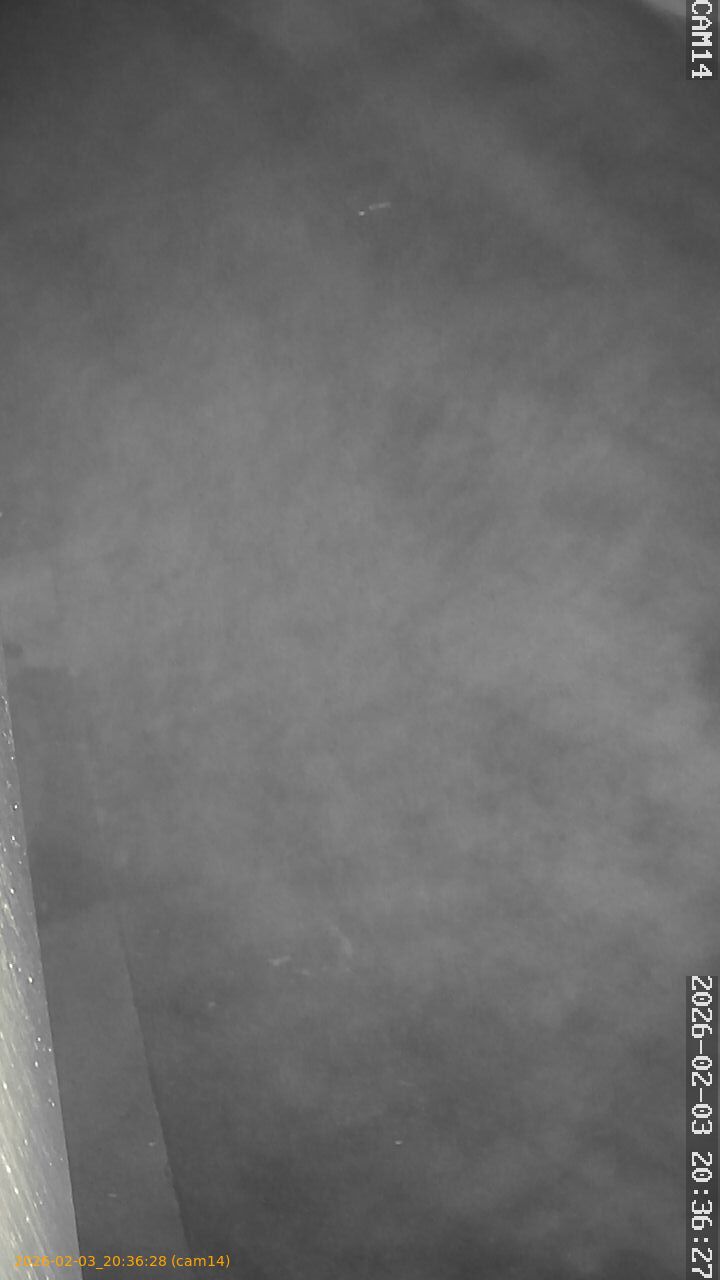 thumbnail_20260203203628