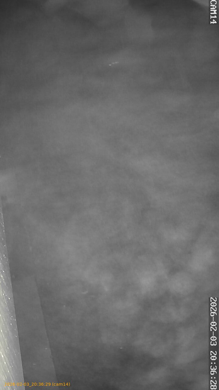 thumbnail_20260203203629