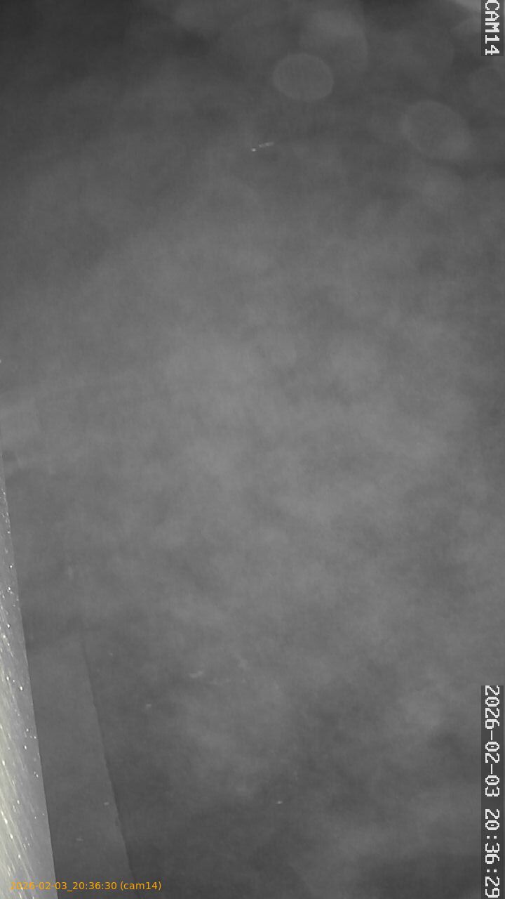 thumbnail_20260203203630