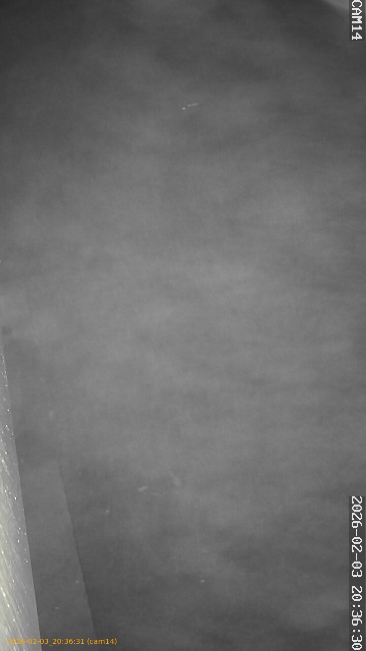 thumbnail_20260203203631