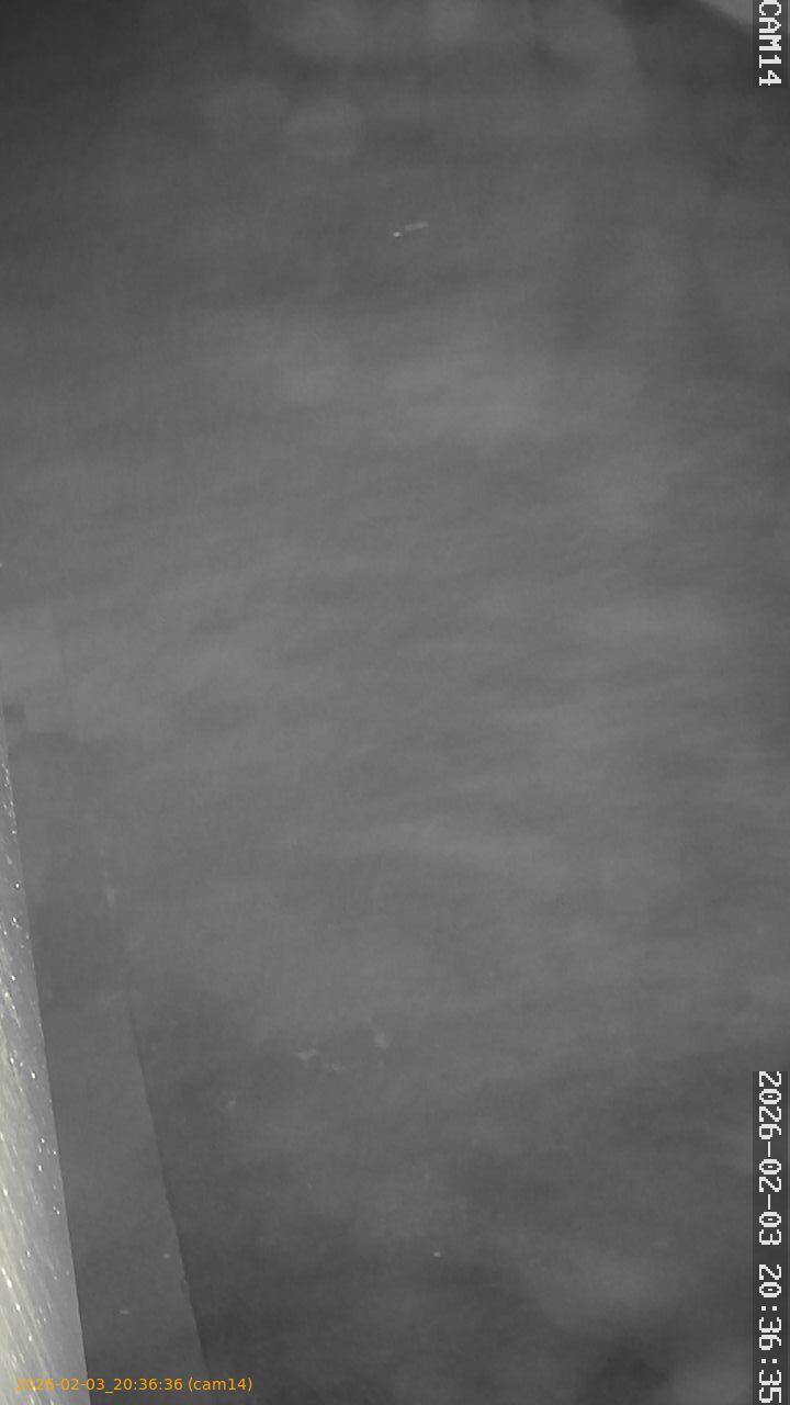 thumbnail_20260203203636