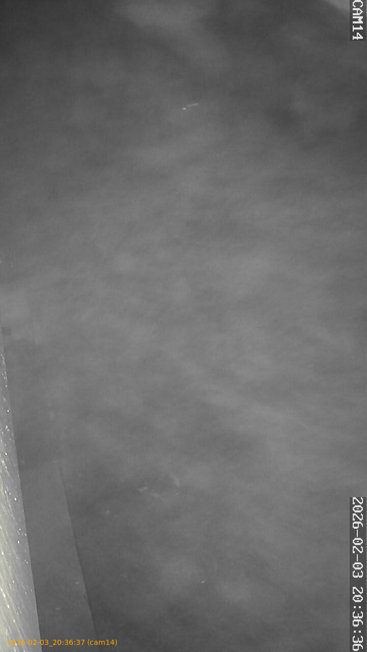 thumbnail_20260203203637