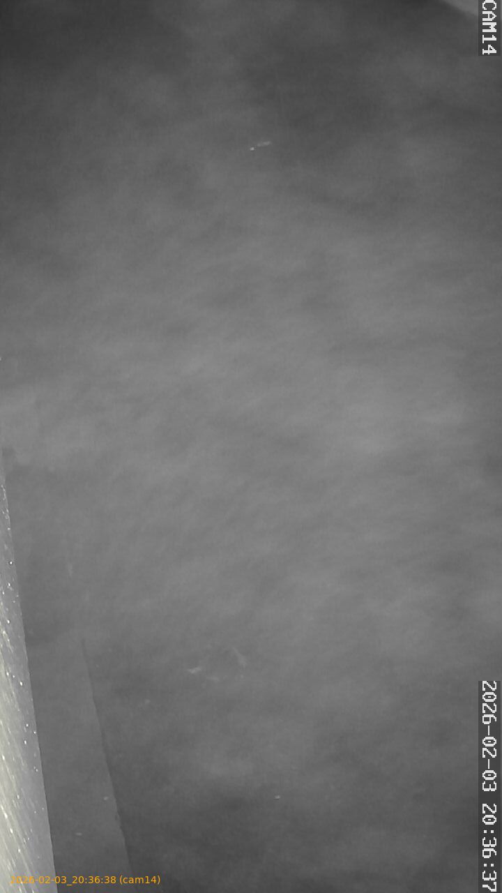 thumbnail_20260203203638