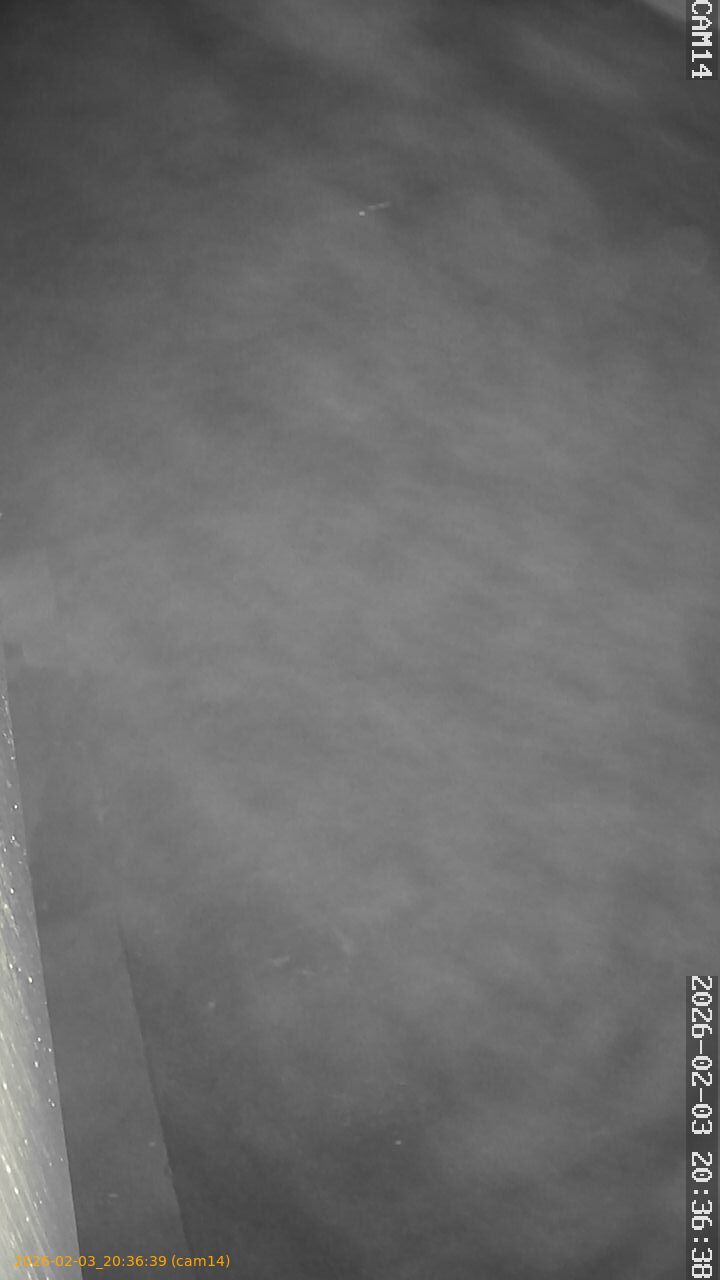 thumbnail_20260203203639