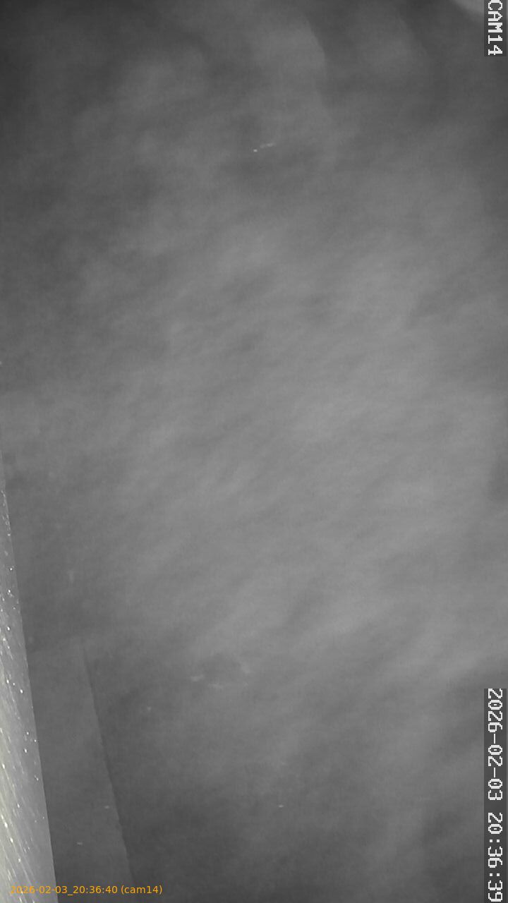 thumbnail_20260203203640