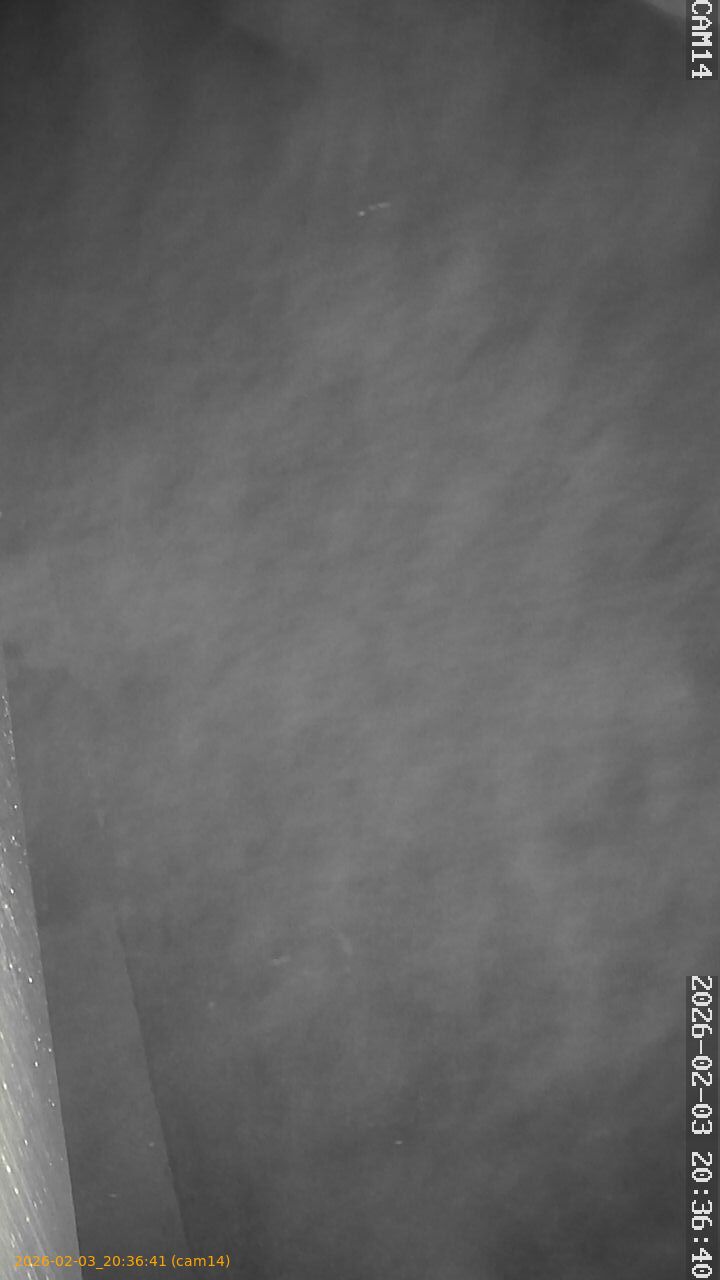 thumbnail_20260203203641