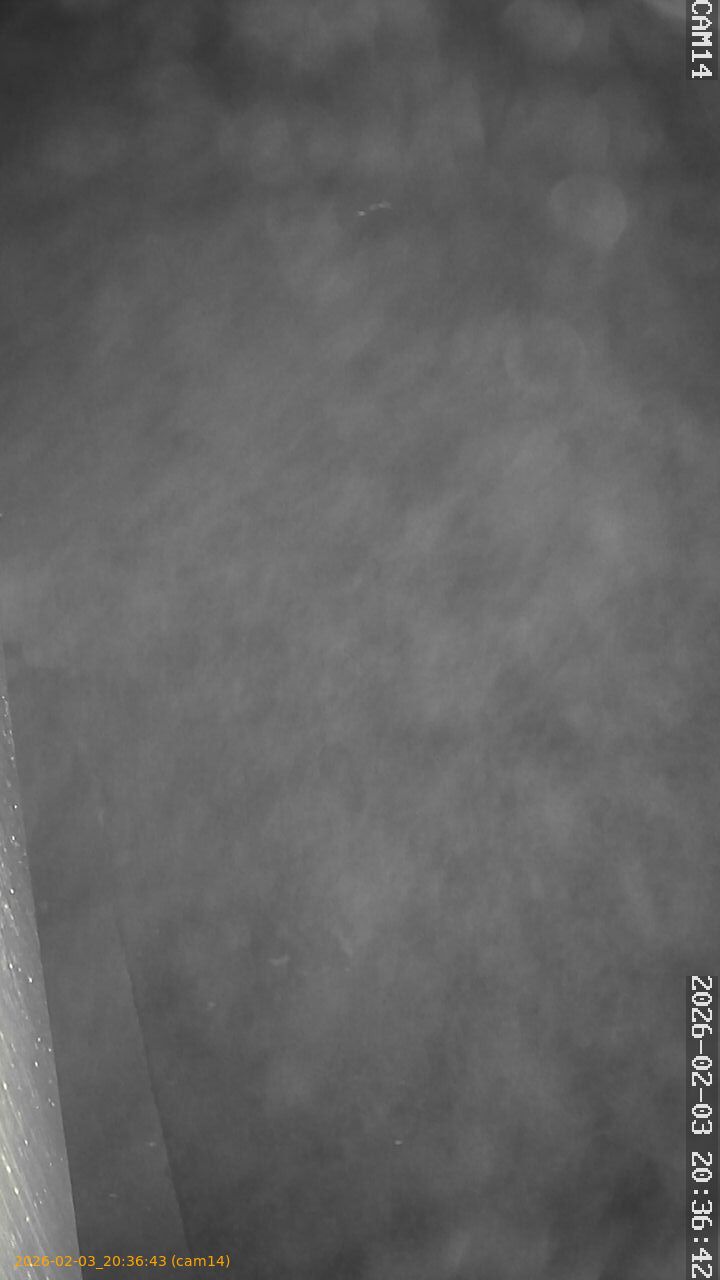 thumbnail_20260203203643