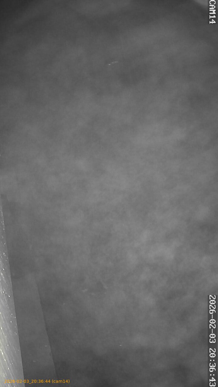 thumbnail_20260203203644