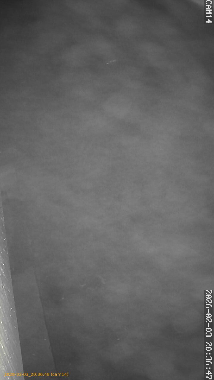 thumbnail_20260203203648