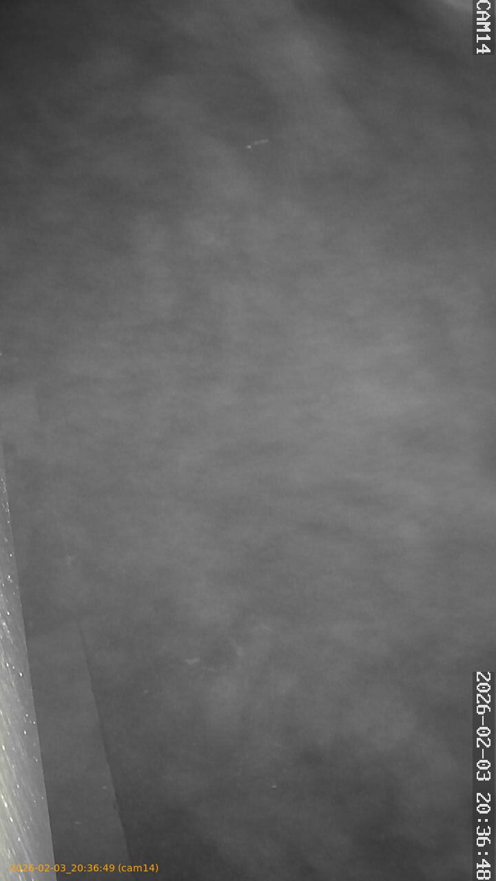 thumbnail_20260203203649