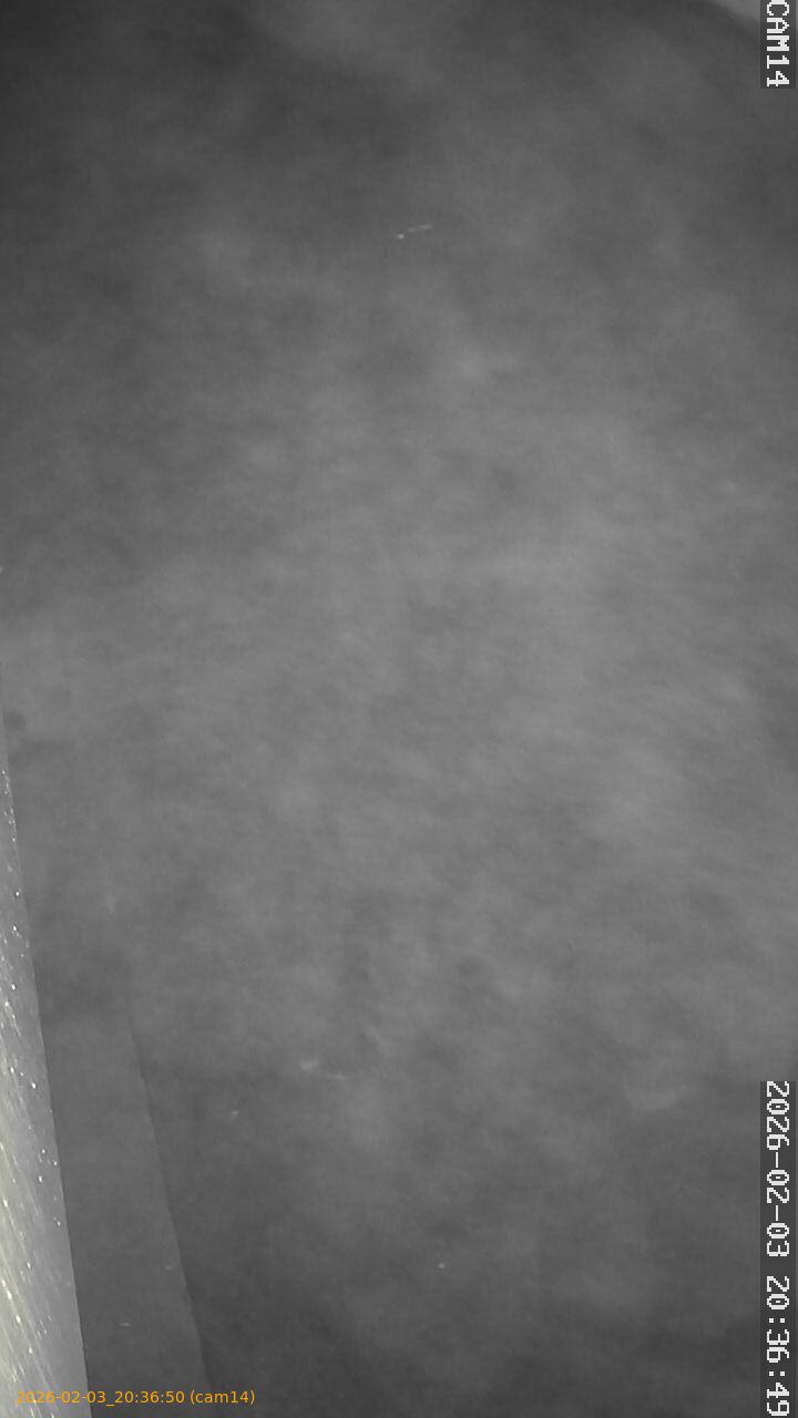 thumbnail_20260203203650