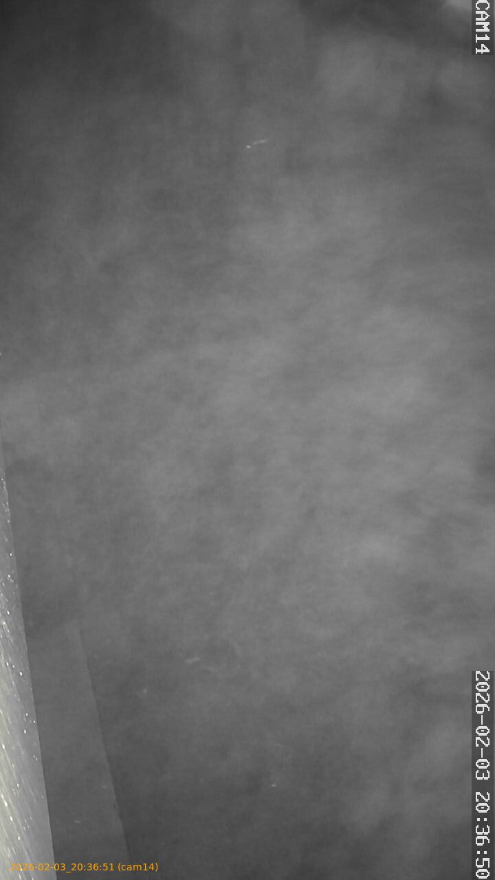 thumbnail_20260203203651