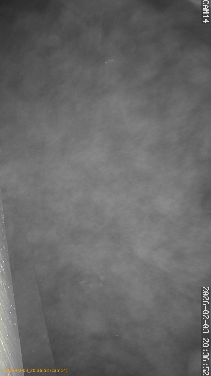 thumbnail_20260203203653