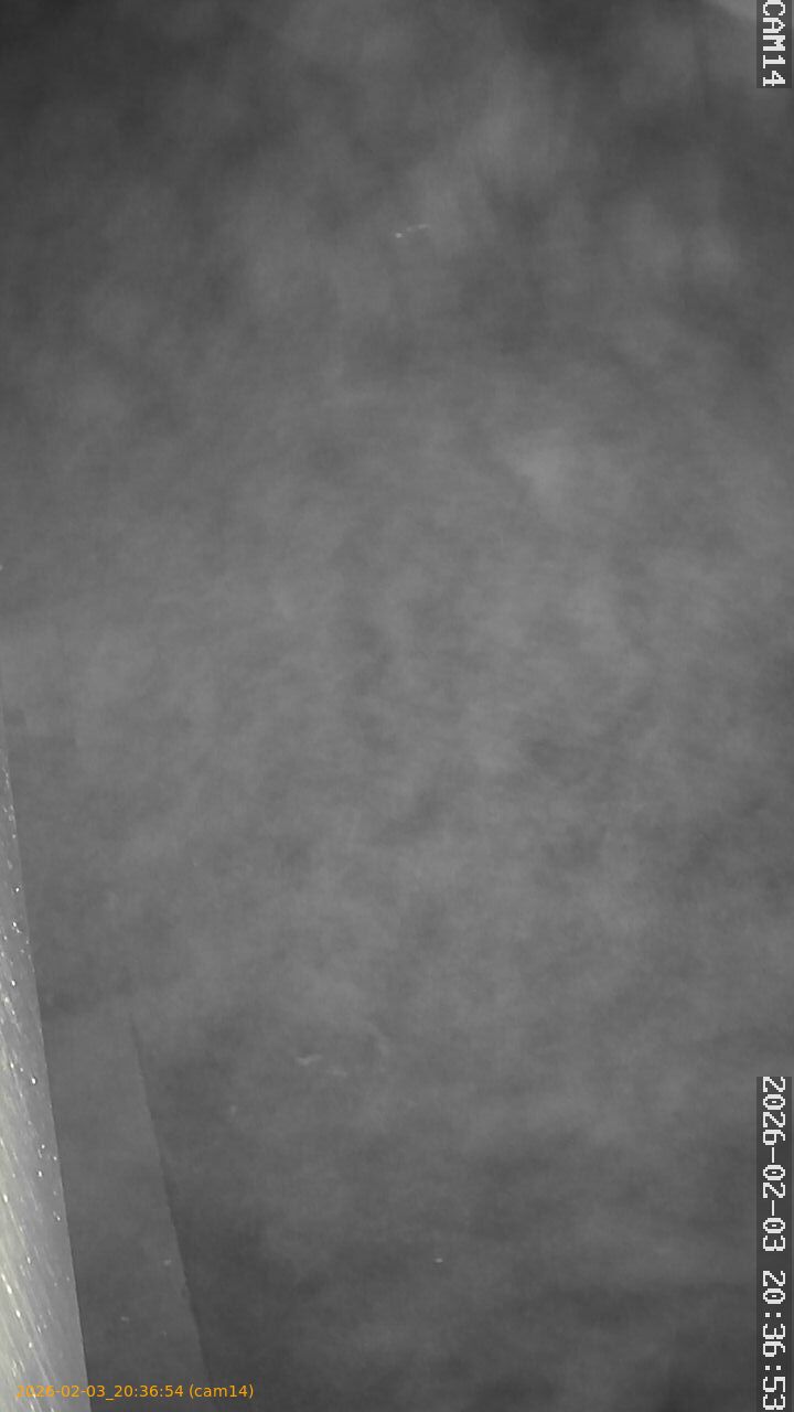 thumbnail_20260203203654