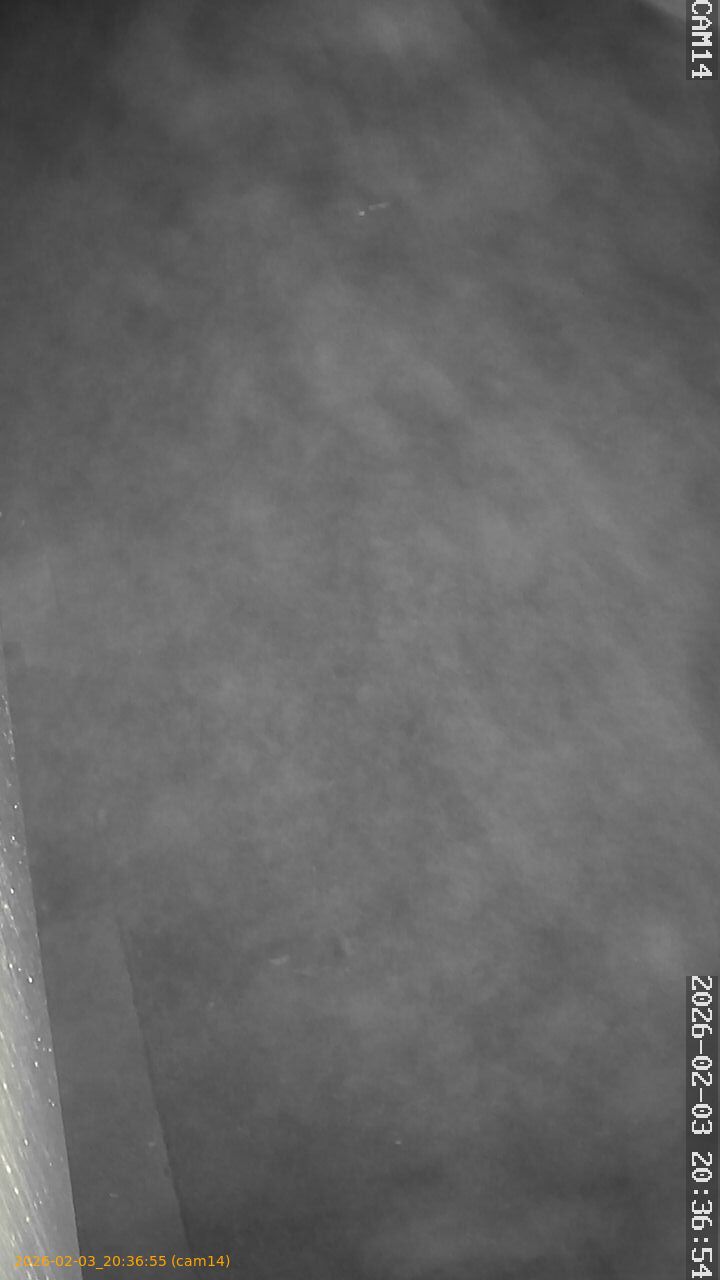 thumbnail_20260203203655