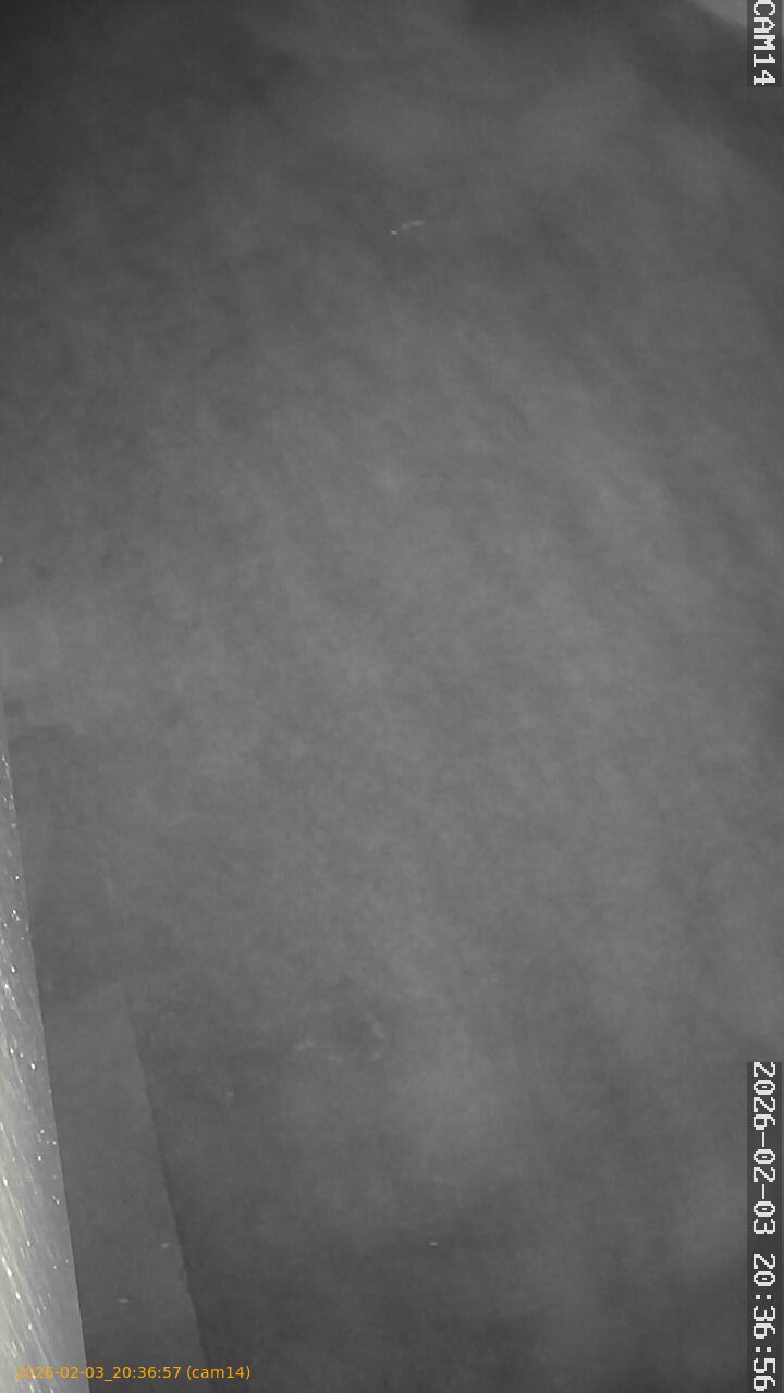 thumbnail_20260203203657