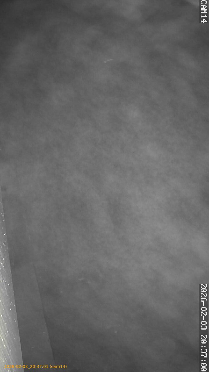 thumbnail_20260203203701