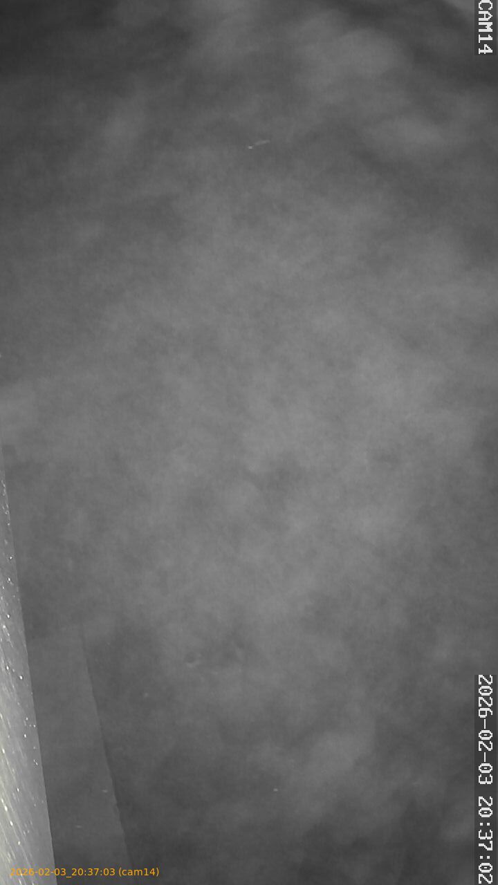 thumbnail_20260203203703