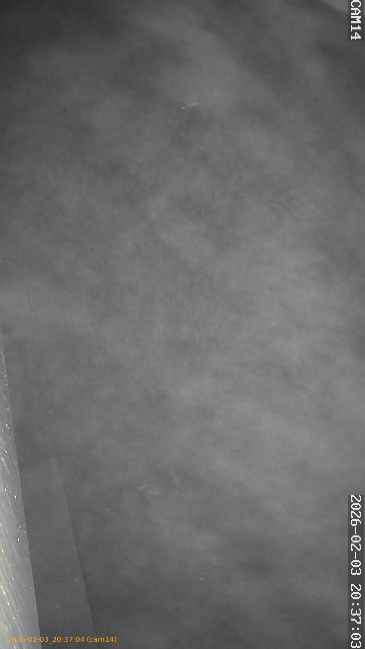 thumbnail_20260203203704