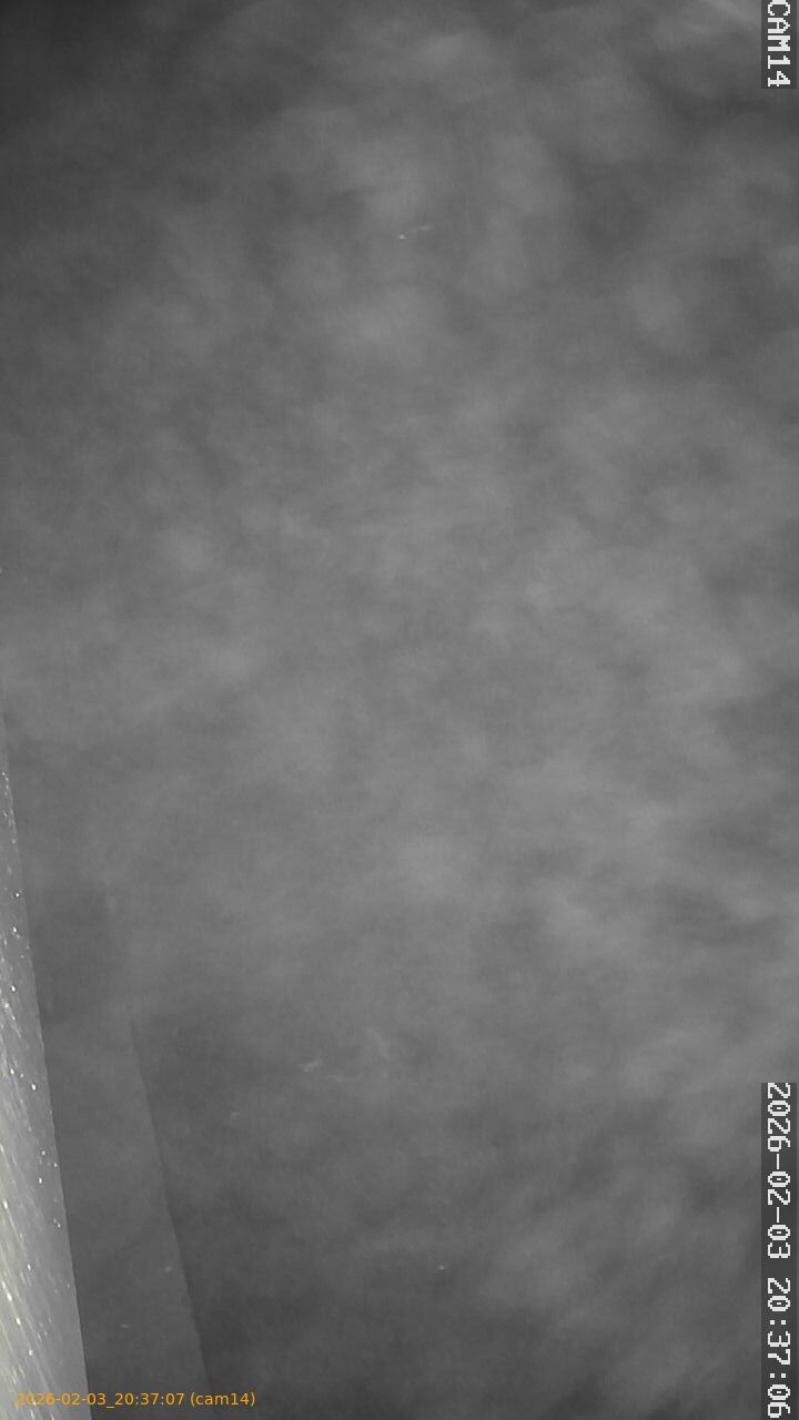 thumbnail_20260203203707