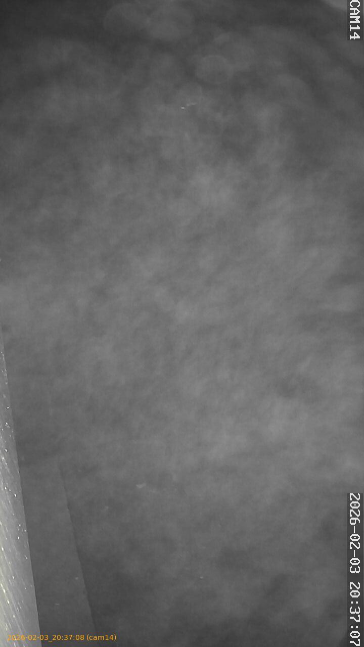 thumbnail_20260203203708