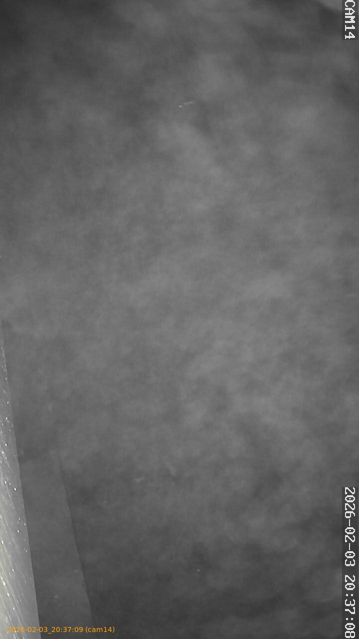 thumbnail_20260203203709