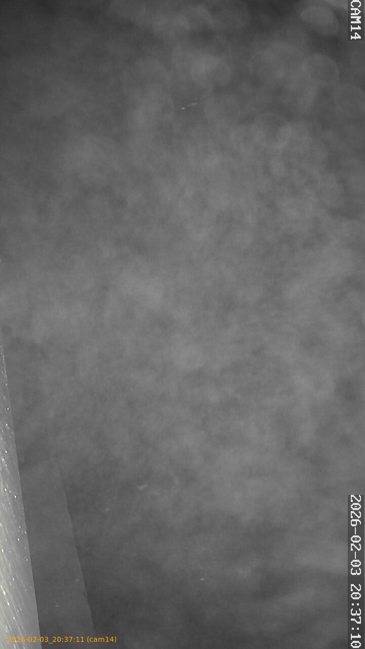 thumbnail_20260203203711