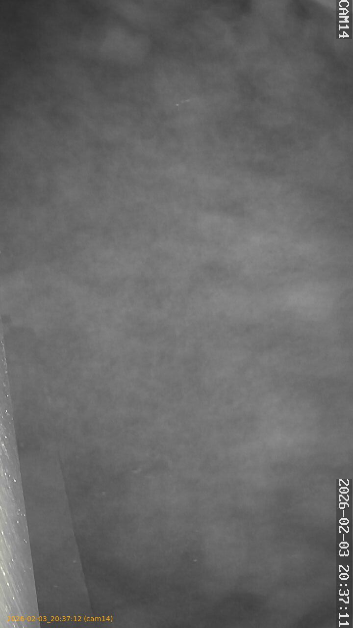 thumbnail_20260203203712