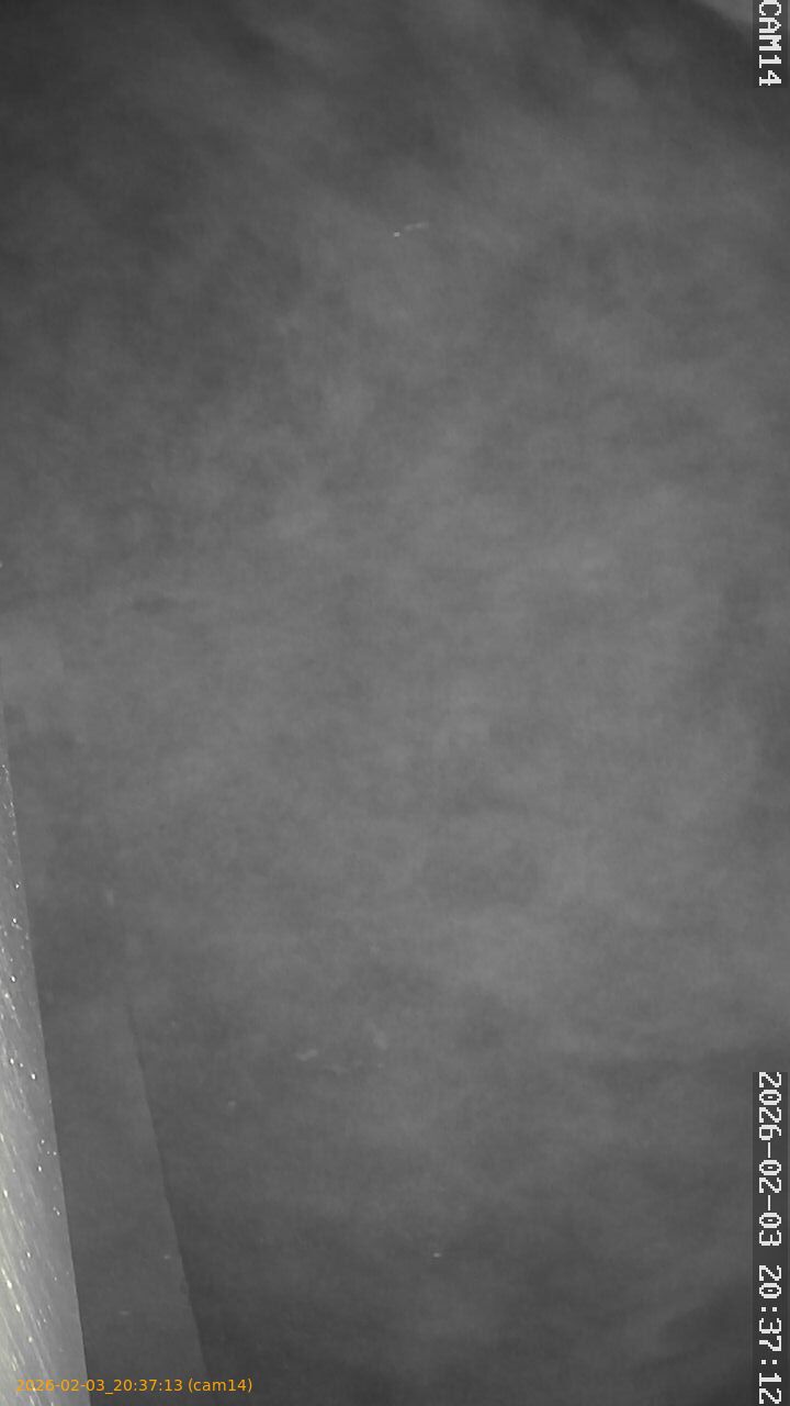 thumbnail_20260203203713