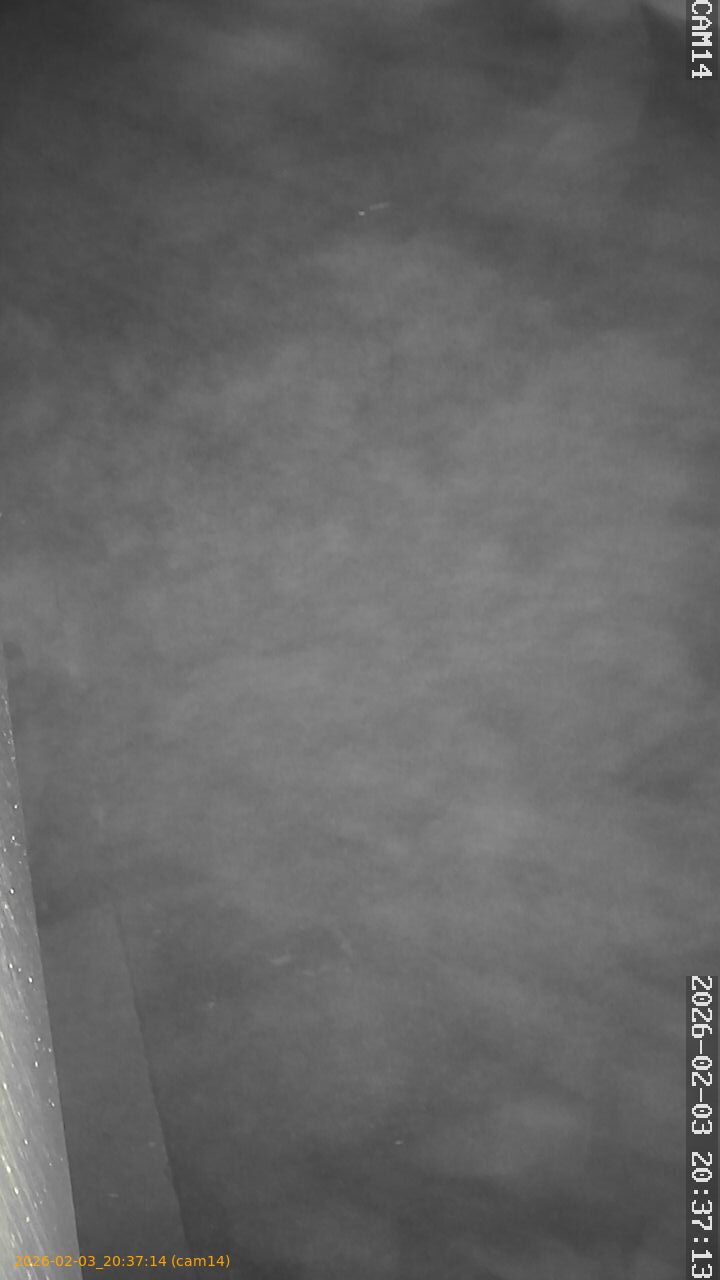 thumbnail_20260203203714