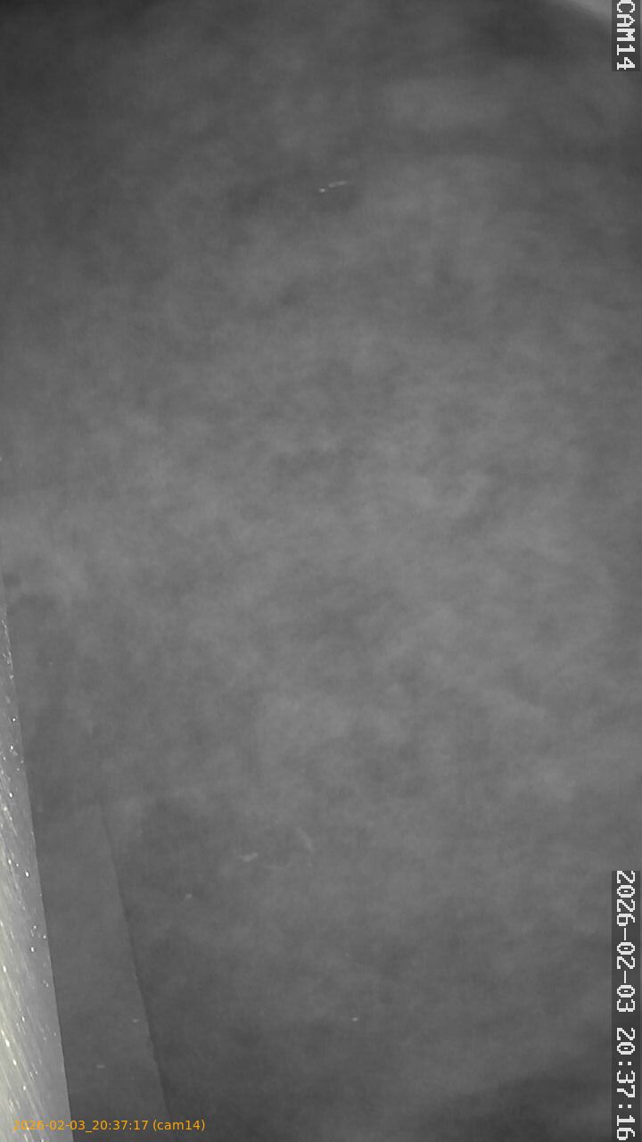 thumbnail_20260203203717