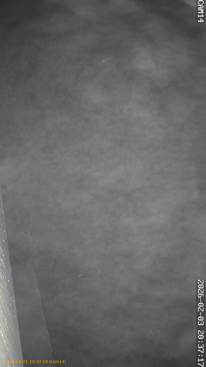 thumbnail_20260203203718