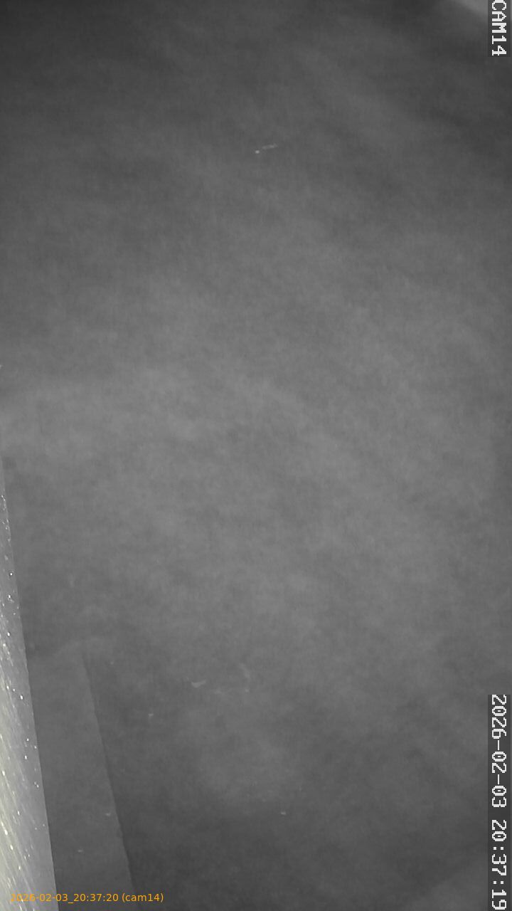 thumbnail_20260203203720